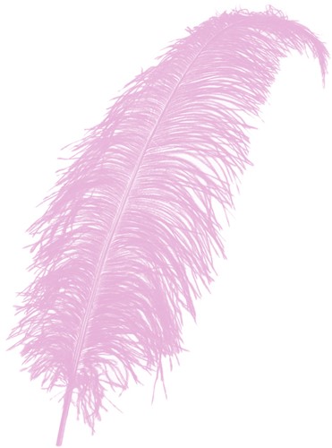 Struisvogelveer Roze 50-60cm